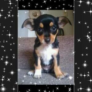 Meet your Posher, Wilder